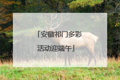 安徽祁门多彩活动迎端午