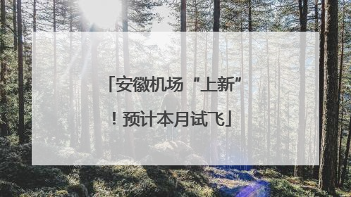 安徽机场“上新”！预计本月试飞