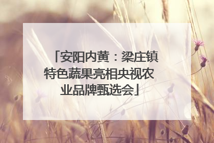 安阳内黄：梁庄镇特色蔬果亮相央视农业品牌甄选会