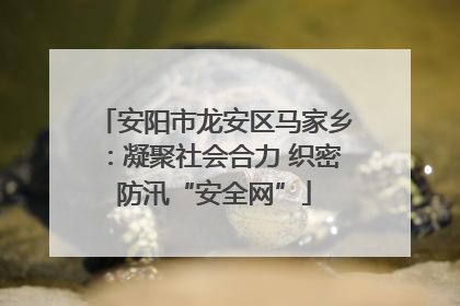 安阳市龙安区马家乡：凝聚社会合力 织密防汛“安全网”