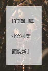 官道口镇 业兴村美面貌新