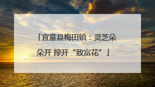 宜章县梅田镇：灵芝朵朵开 撑开“致富花”