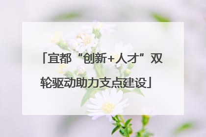 宜都“创新+人才”双轮驱动助力支点建设