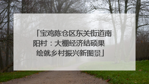 宝鸡陈仓区东关街道南阳村：大棚经济结硕果 绘就乡村振兴新图景