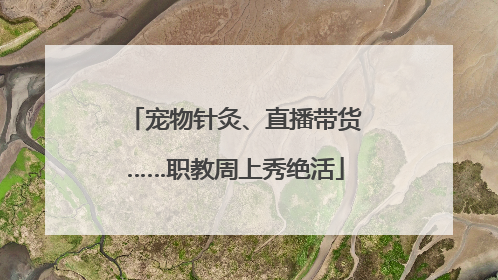 宠物针灸、直播带货……职教周上秀绝活
