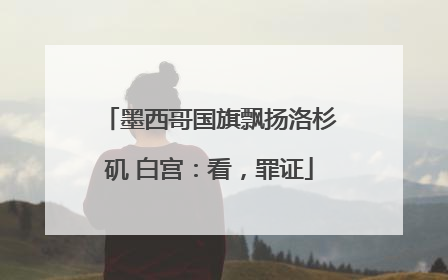 墨西哥国旗飘扬洛杉矶 白宫：看，罪证