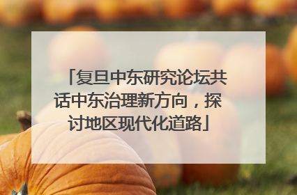 复旦中东研究论坛共话中东治理新方向，探讨地区现代化道路