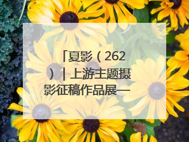 夏影（262）｜上游主题摄影征稿作品展——黄红专作品