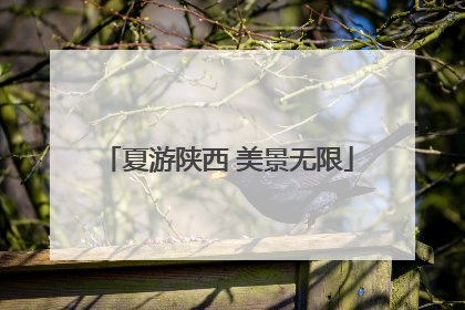 夏游陕西 美景无限