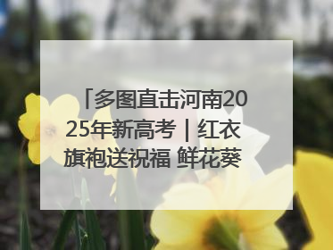 多图直击河南2025年新高考｜红衣旗袍送祝福 鲜花葵花助梦圆——尉氏县高考暖心送考