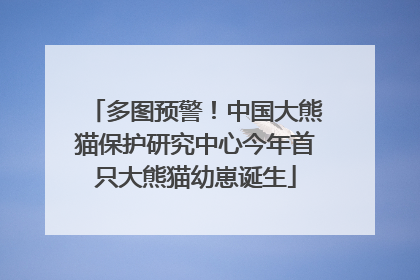 多图预警！中国大熊猫保护研究中心今年首只大熊猫幼崽诞生