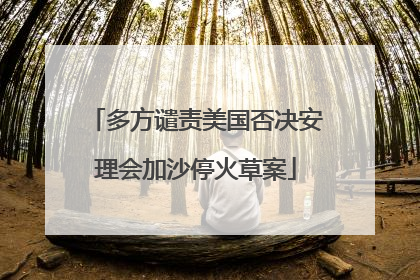 多方谴责美国否决安理会加沙停火草案