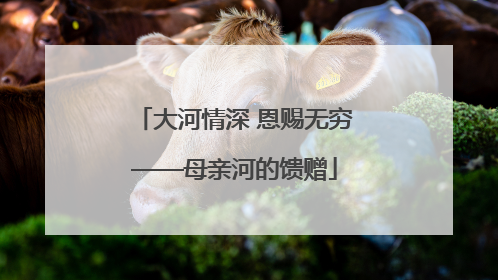 大河情深 恩赐无穷——母亲河的馈赠