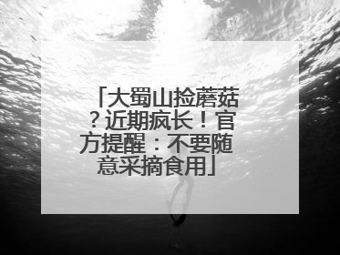 大蜀山捡蘑菇？近期疯长！官方提醒：不要随意采摘食用