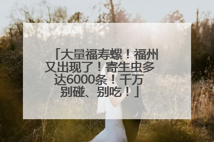 大量福寿螺！福州又出现了！寄生虫多达6000条！千万别碰、别吃！