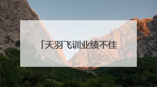天羽飞训业绩不佳且无业绩补偿，海航控股仍豪掷8亿收购丨一周市场观察