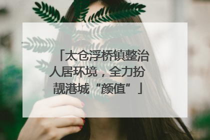 太仓浮桥镇整治人居环境，全力扮靓港城“颜值”