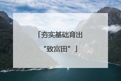 夯实基础育出“致富田”