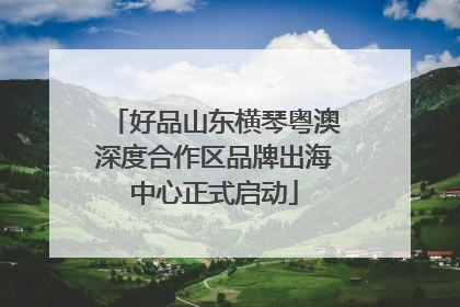 好品山东横琴粤澳深度合作区品牌出海中心正式启动
