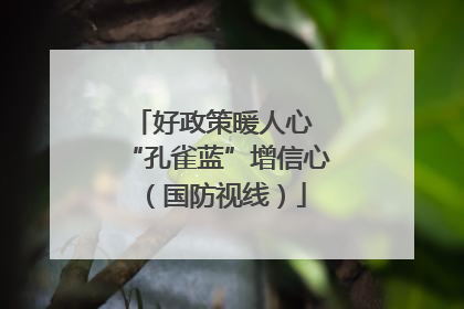 好政策暖人心 “孔雀蓝”增信心（国防视线）