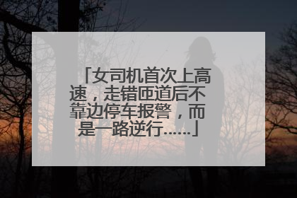 女司机首次上高速，走错匝道后不靠边停车报警，而是一路逆行……