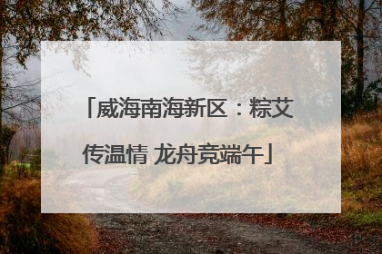 威海南海新区：粽艾传温情 龙舟竞端午