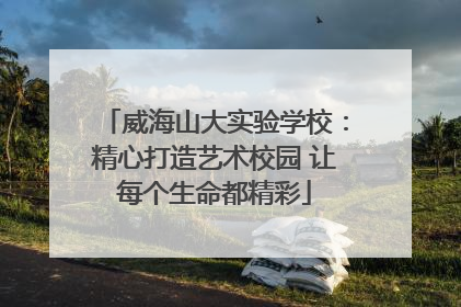 威海山大实验学校：精心打造艺术校园 让每个生命都精彩