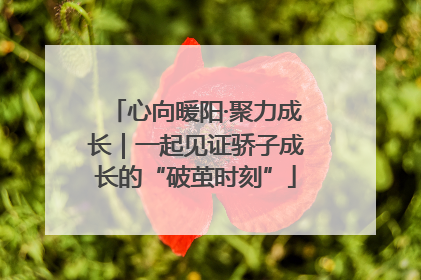 心向暖阳·聚力成长｜一起见证骄子成长的“破茧时刻”