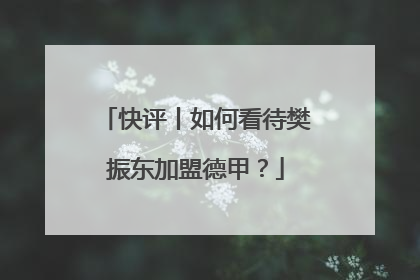 快评丨如何看待樊振东加盟德甲？