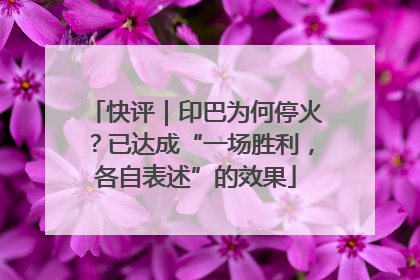 快评｜印巴为何停火？已达成“一场胜利，各自表述”的效果