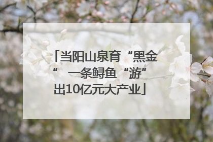 当阳山泉育“黑金” 一条鲟鱼“游”出10亿元大产业