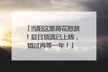 当阳这里荷花怒放！夏日顶流已上线，错过再等一年！