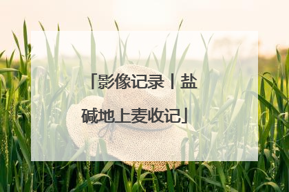 影像记录丨盐碱地上麦收记