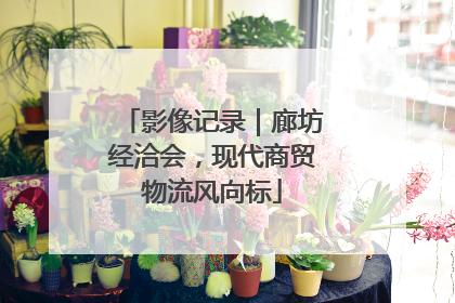 影像记录｜廊坊经洽会，现代商贸物流风向标