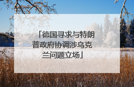 德国寻求与特朗普政府协调涉乌克兰问题立场