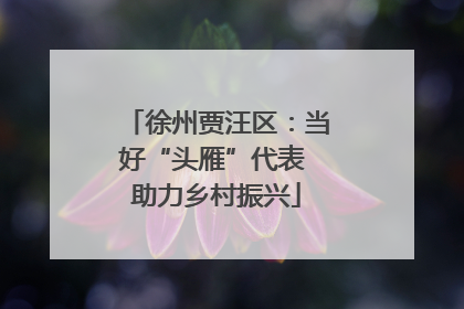 徐州贾汪区：当好“头雁”代表 助力乡村振兴