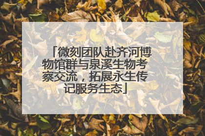 微刻团队赴齐河博物馆群与泉溪生物考察交流，拓展永生传记服务生态