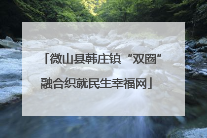 微山县韩庄镇“双圈”融合织就民生幸福网