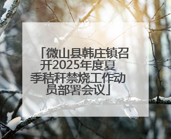 微山县韩庄镇召开2025年度夏季秸秆禁烧工作动员部署会议