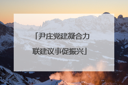 尹庄党建凝合力 联建议事促振兴