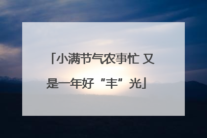 小满节气农事忙 又是一年好“丰”光