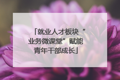 就业人才板块“业务微课堂”赋能青年干部成长
