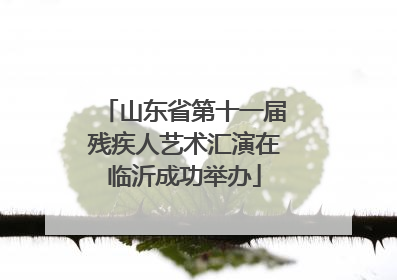 山东省第十一届残疾人艺术汇演在临沂成功举办
