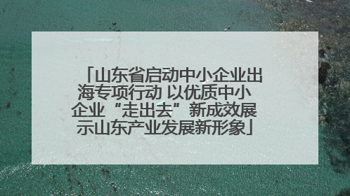山东省启动中小企业出海专项行动 以优质中小企业“走出去”新成效展示山东产业发展新形象