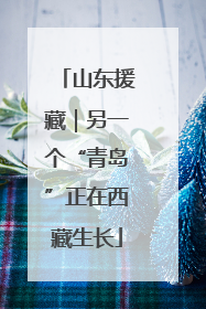 山东援藏｜另一个“青岛”正在西藏生长