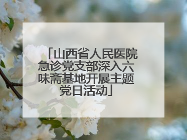 山西省人民医院急诊党支部深入六味斋基地开展主题党日活动