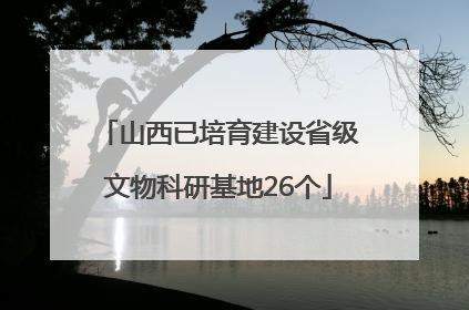 山西已培育建设省级文物科研基地26个