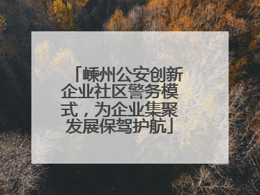 嵊州公安创新企业社区警务模式，为企业集聚发展保驾护航