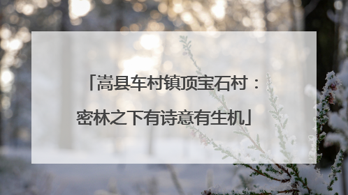 嵩县车村镇顶宝石村：密林之下有诗意有生机