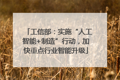 工信部：实施“人工智能+制造”行动，加快重点行业智能升级